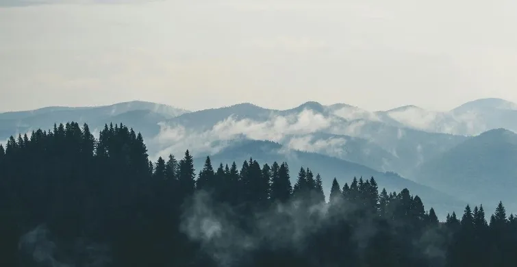 COPD-Tag, COPD-Index